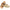 Birkenstock Arizona Big Buckle Women's Sandals NW/OB
