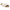 Birkenstock Kyoto Women's Sandals NW/OB