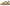 Dr. Scholl's Island Glow Women's Sandals NW/OB