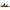 Birkenstock Arizona Shearling Women's Sandals NW/OB