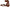 Franco Sarto Savini Women's Heeled Sandals NW/OB