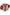Sam Edelman Women's Ragan Sandals NW/OB