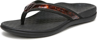 Black Tortoise