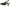 Sam Edelman Bianka Sling Women's Pumps NW/OB