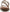 Soul Naturalizer Shakina Women's Flat Sandals NW/OB