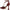 Sam Edelman Everett Women's T-Strap Heels NW/OB