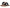 Steve Madden Women's Olivia Sandal's NW/OB