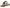 Franco Sarto Women's A-Emily 5 Slide Sandals NW/OB