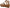 Blowfish Malibu Girls Loverli Wedge Sandal NW/OB