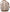 Vionic Women's Alameda Woven Flats NW/OB