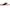 Vionic Women's Eva Toe Post Sandal NW/OB