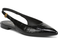 Black Croc