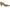 Franco Sarto L-Astra Women's Pump NW/OB