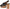 Naturalizer 27 EDIT Women's Kirsten Platform Slingback Sandal NW/OB
