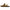 Birkenstock Arizona Shearling Women's Sandals NW/OB