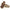 Birkenstock Siena Big Buckle Women's Sandal NW/OB
