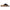 Papillio by Birkenstock Women's Almina Sandals NW/OB