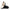 Birkenstock Paris Chunky Women's Platform Lug NW/OB