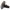 Birkenstock Boston BS Soft Footbed Women's Clogs NW/OB