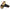 Birkenstock Women's Madrid BS Sandals NW/OB