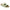 Birkenstock Uji Women's Sandals NW/OB