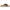 Papillio by Birkenstock Women's Almina Sandals NW/OB