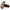 Birkenstock Arizona BS Women's Sandals NW/OB