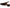 Franco Sarto Lyanna Women's Slingback Pumps NW/OB