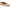 Beige Patent
