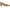 Franco Sarto Salino Women's Pumps NW/OB