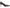 Veronica Beard Women's Rita Pump NW/OB