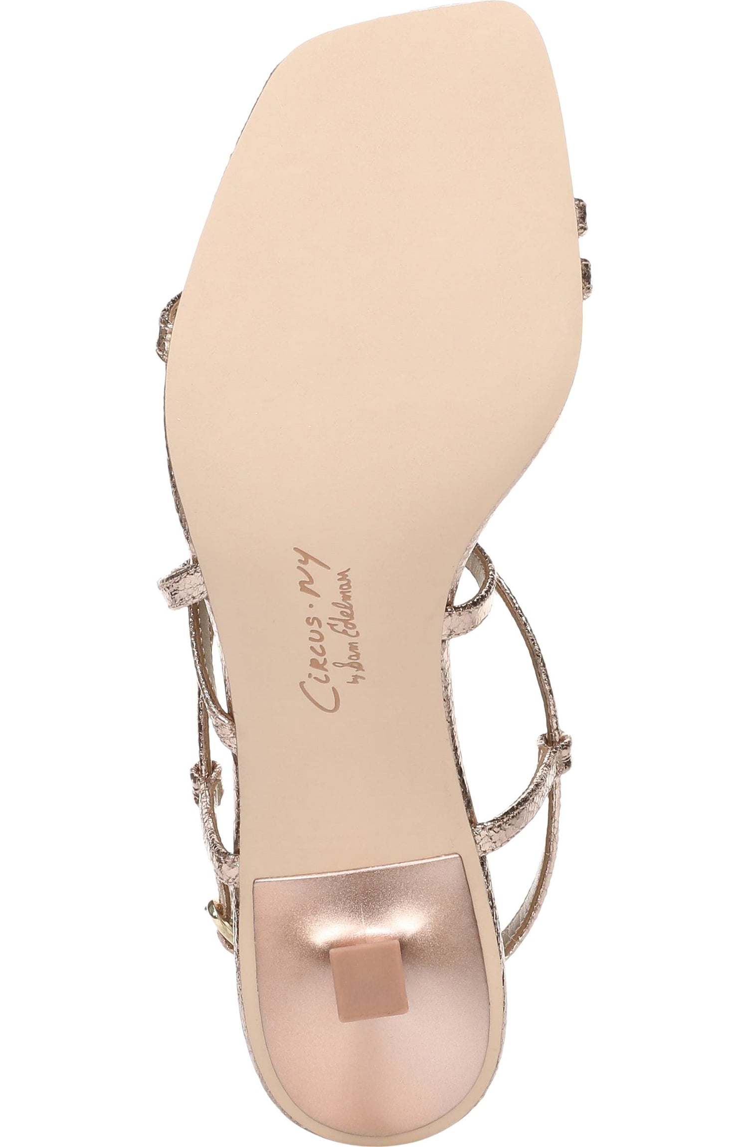 Circus NY By Sam Edelman Women's Jasmine Heeled Sandals NW/OB