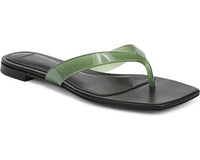 Palm Leaf