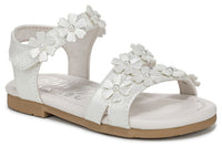 White Multi