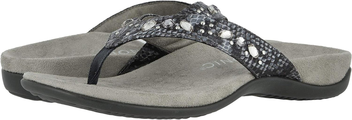 Slate Grey Snake