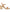 Naturalizer Rose Women's Heels NW/OB