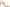 Sam Edelman Doran Women's Sandals NW/OB