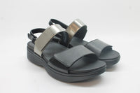 Black/Pewter