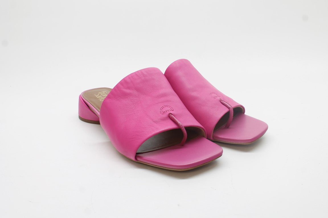 Fuchsia