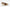 Sam Edelman Women's Baker Slingback Pump Floor Sample