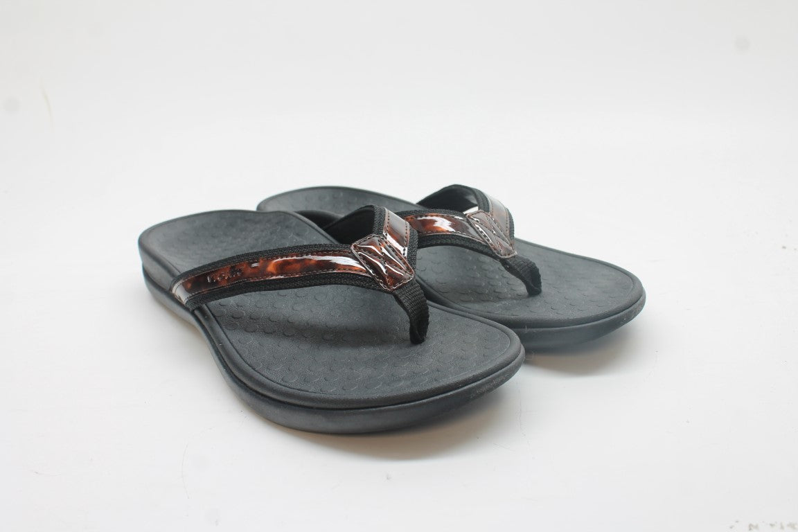 Black Toroise