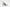 Sam Edelman Odette Women's Pumps Floor Sample