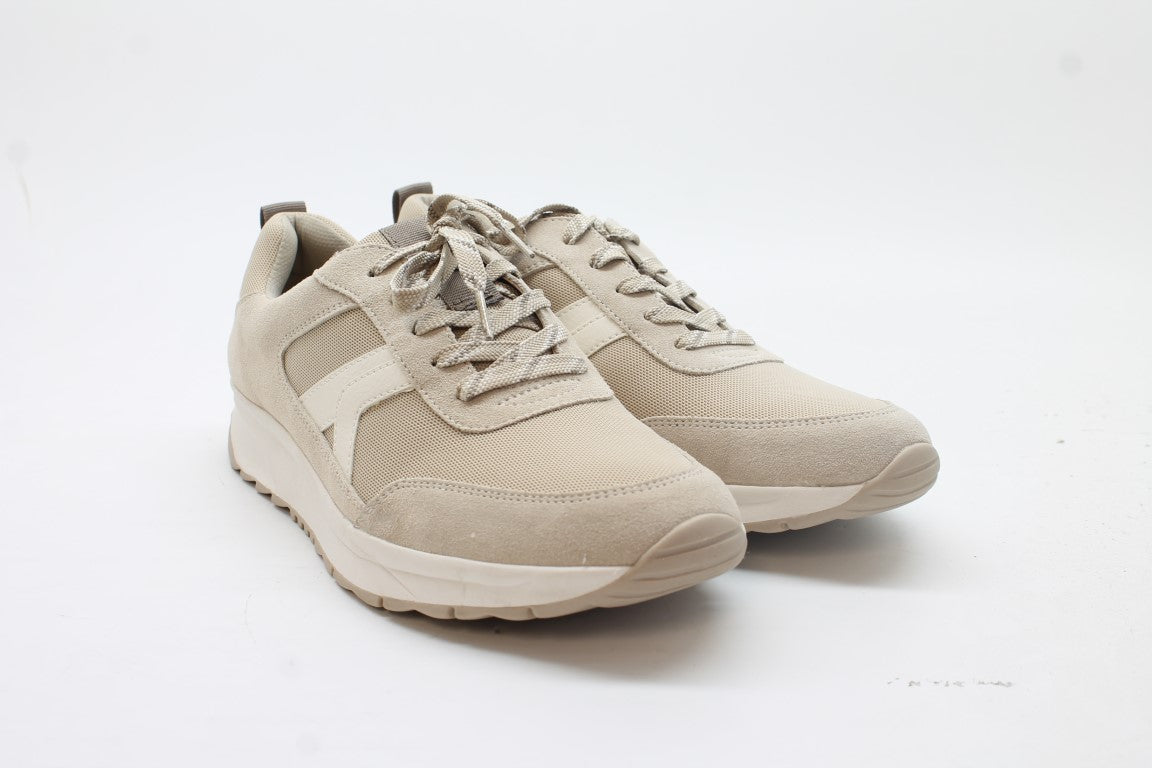 White/Beige