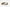 Birkenstock Oita Women's Sandals Floor Sample