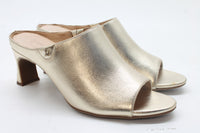 Champagne Metallic
