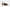 Franco Sarto Jaden Women's Slingback Pumps Floor Sample