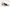 Franco Sarto Jaden Women's Slingback Pumps Floor Sample