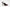 Sam Edelman Odette Women's Pumps Floor Sample
