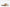 Sebago Women's Sandals Floor Sample