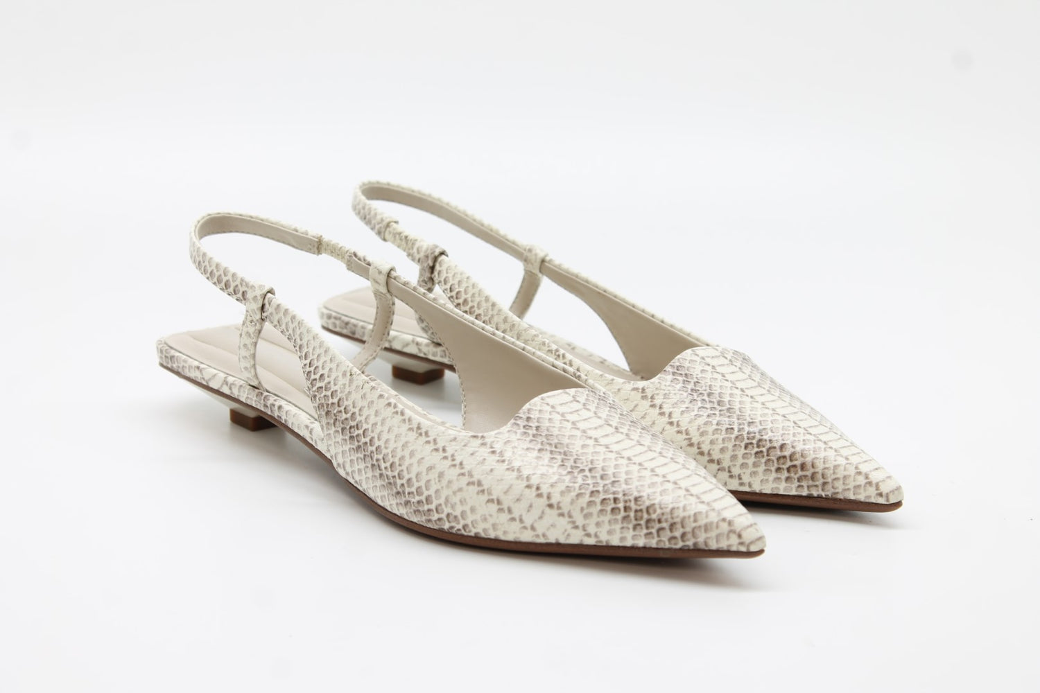 Grey Snake Print